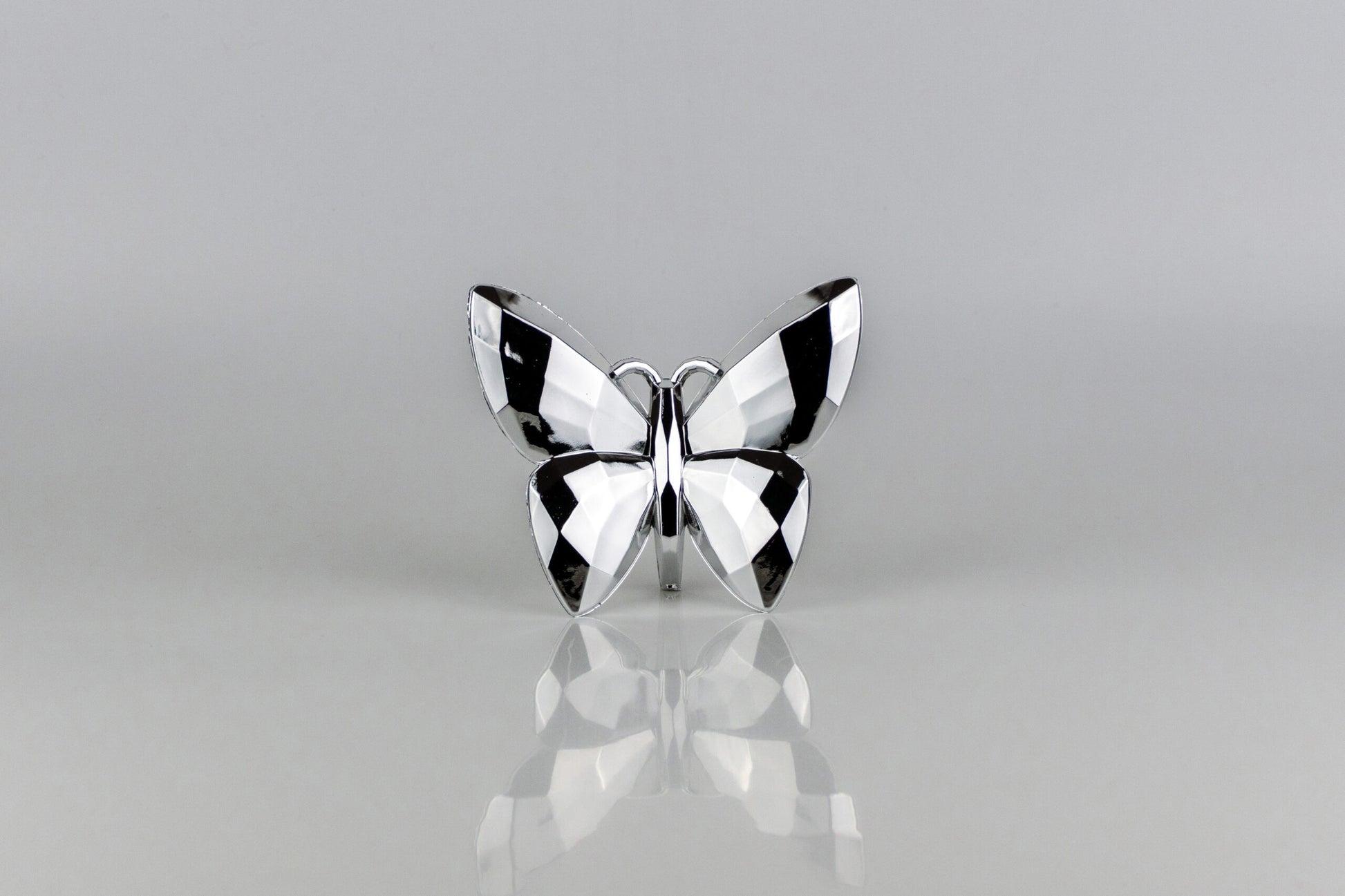 Butterfly Silver