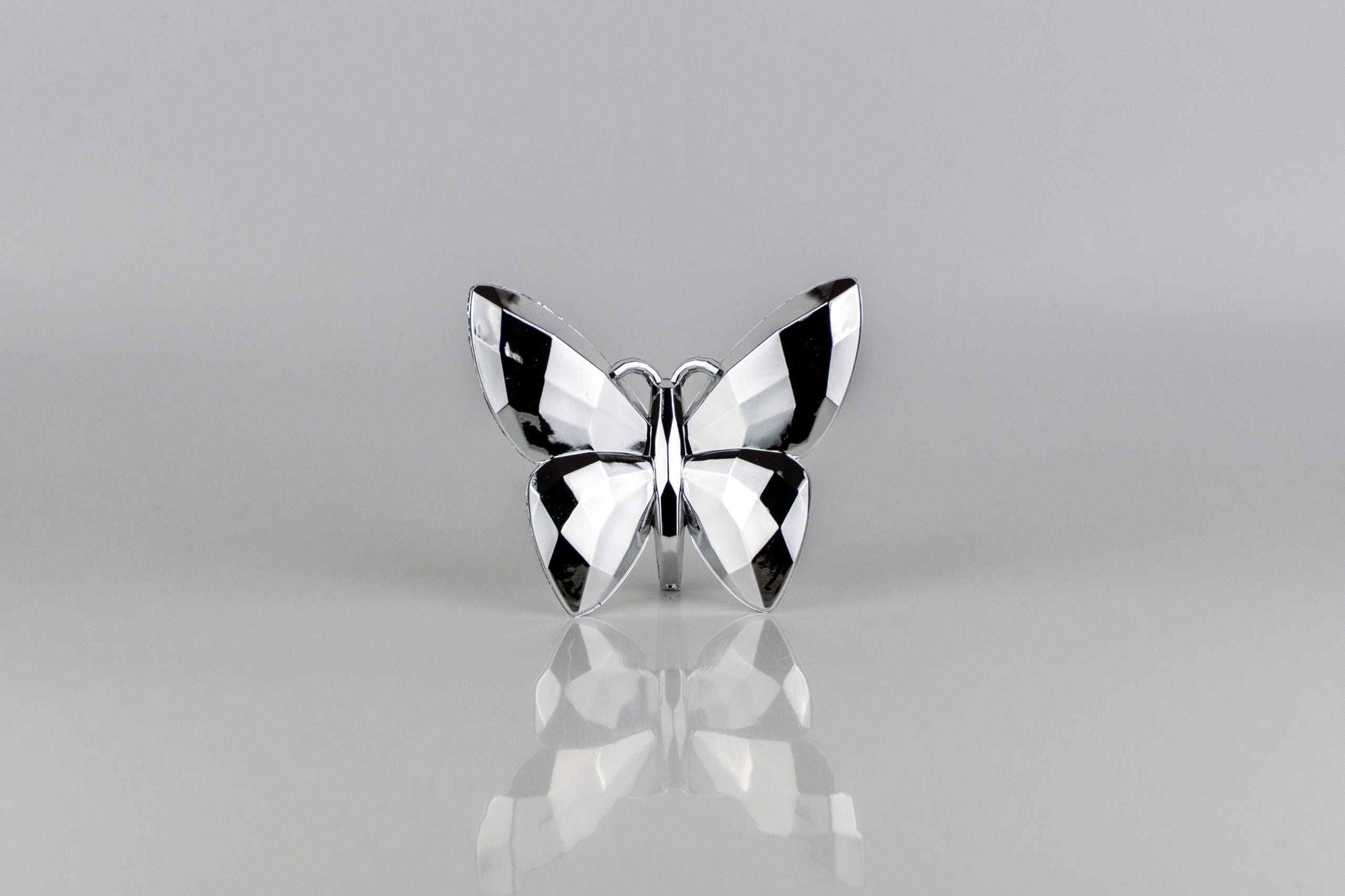 Butterfly Silver