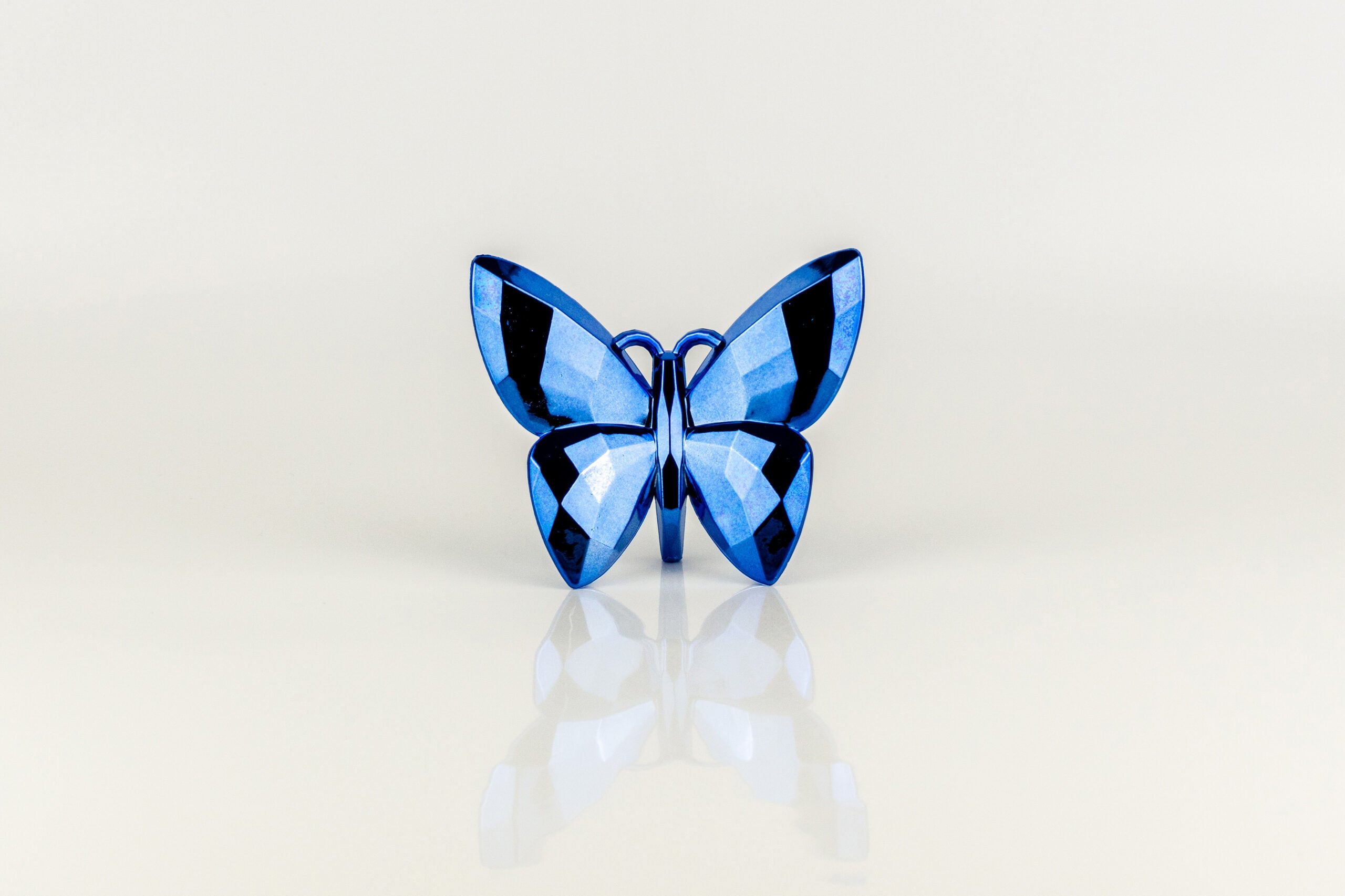 Butterfly Blue