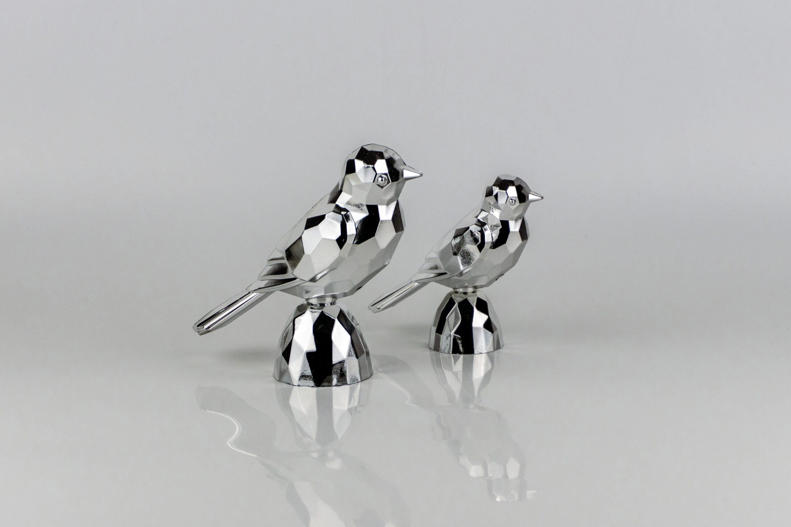 Birds Silver