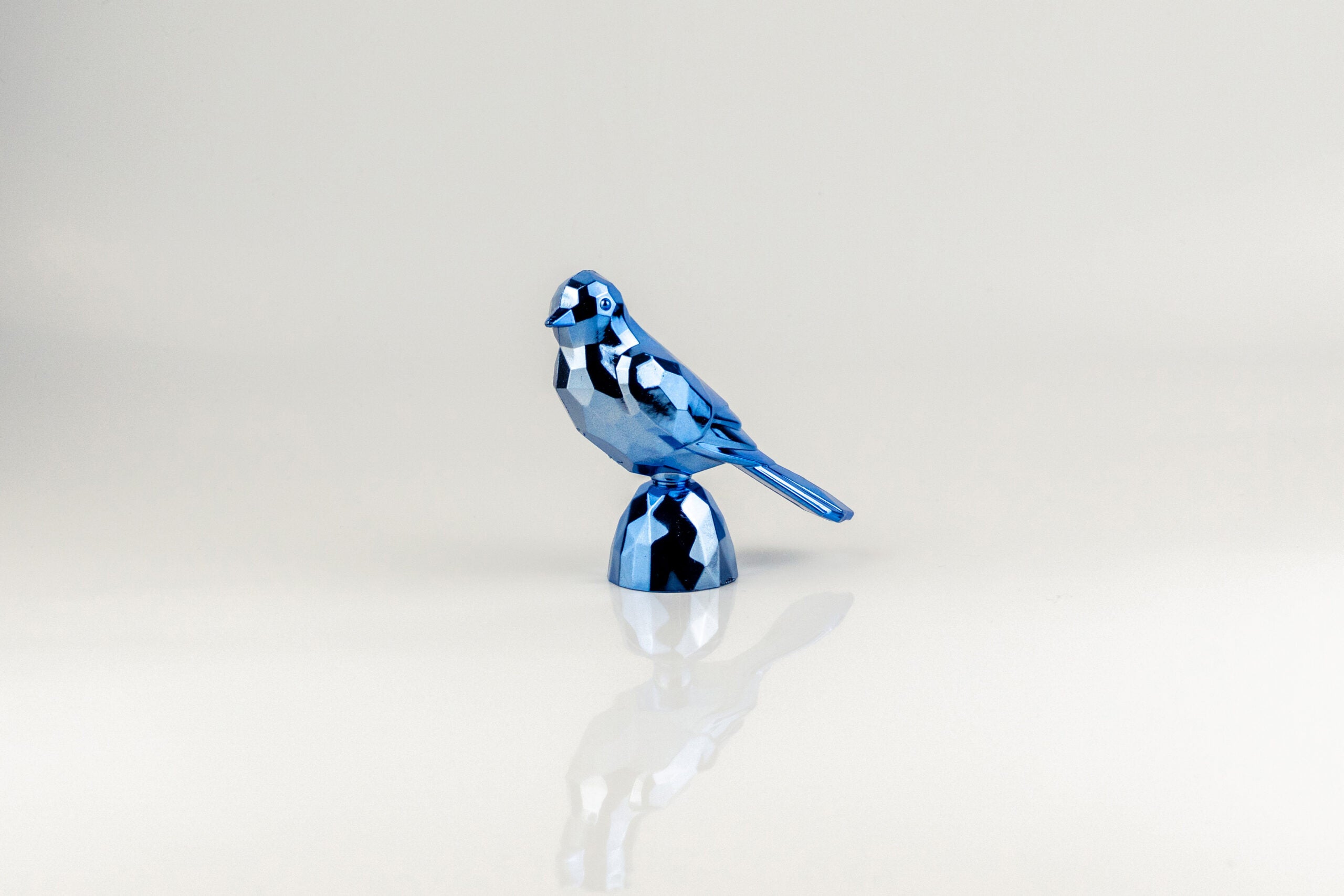 Birds Blue