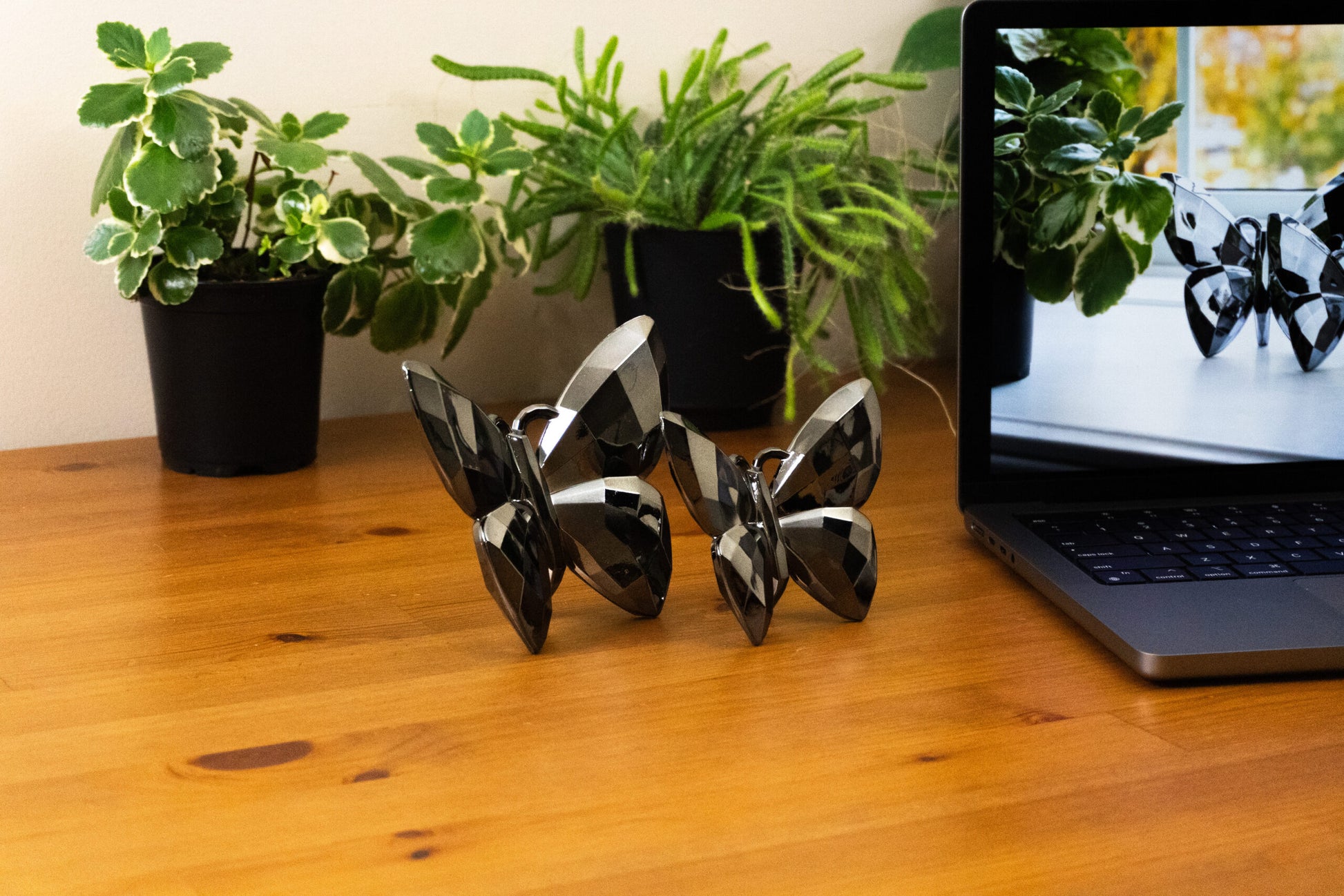 Butterfly Dark Silver