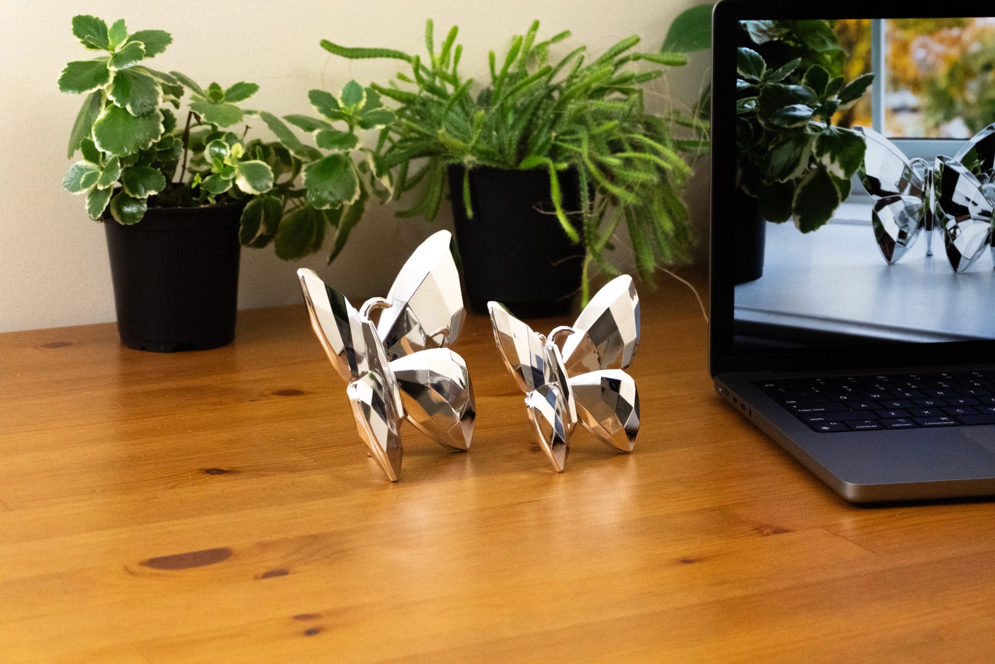 Butterfly Silver