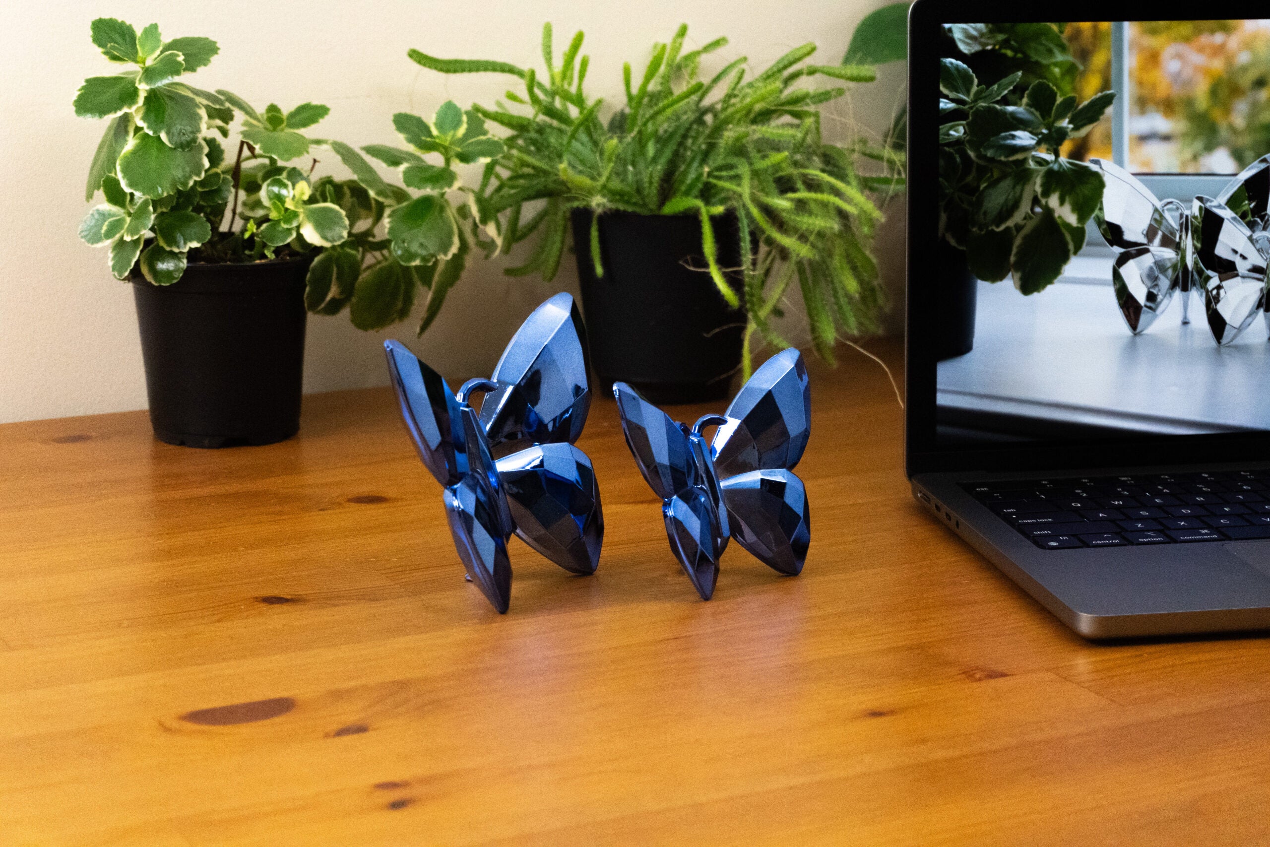 Butterfly Blue