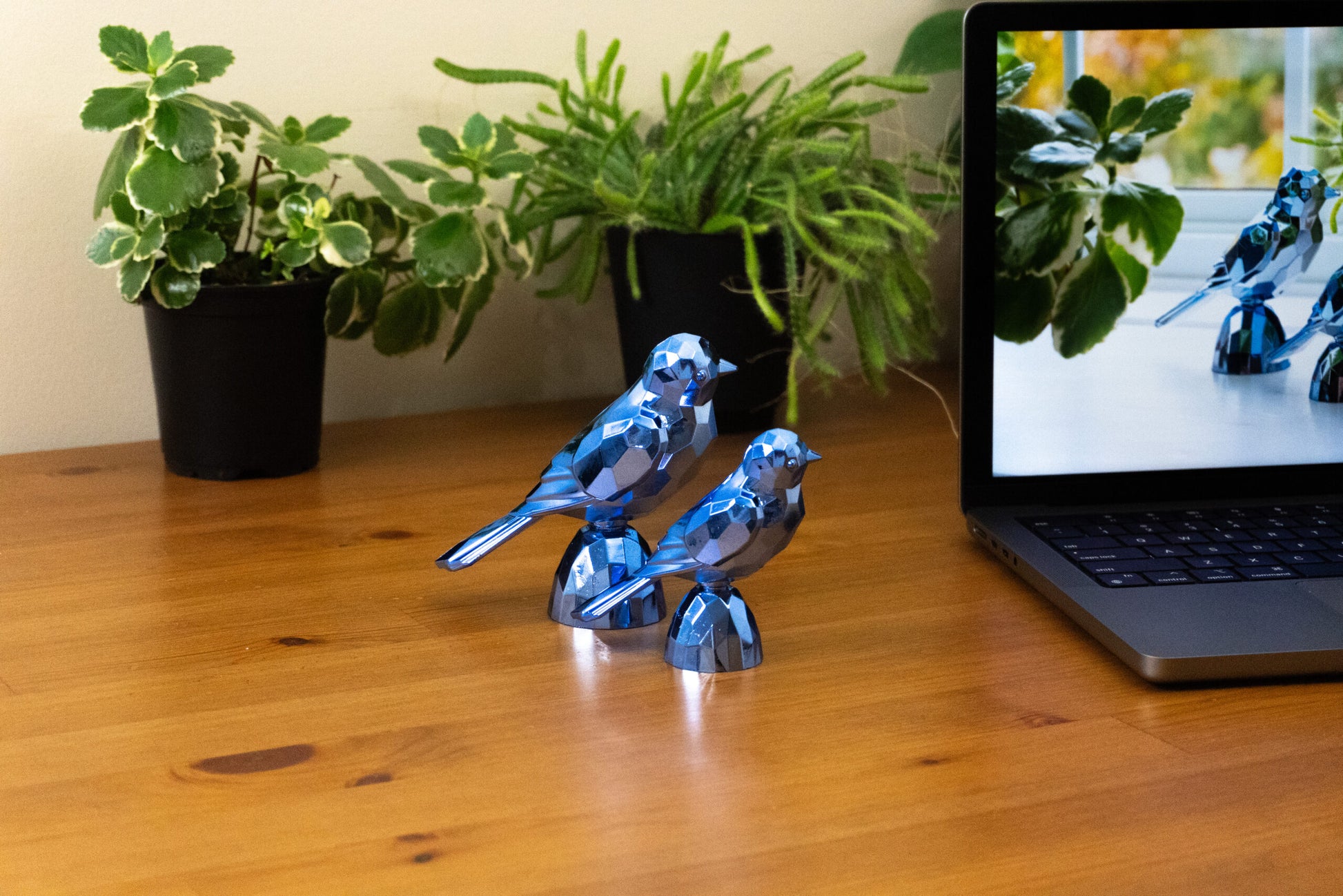 Birds Blue