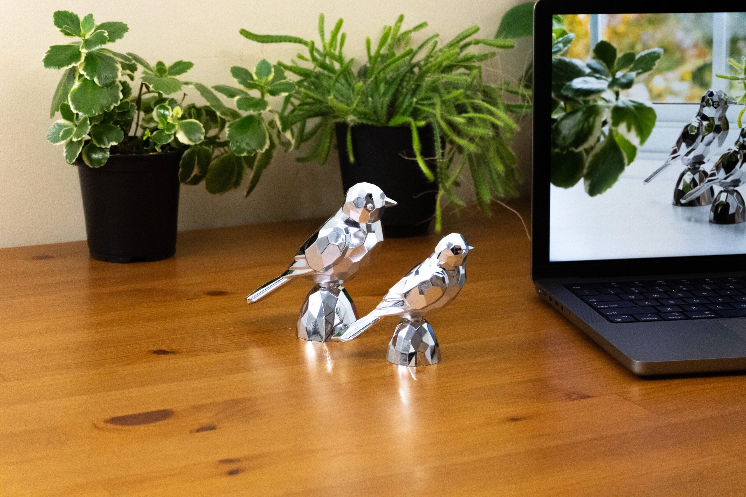 Birds Silver