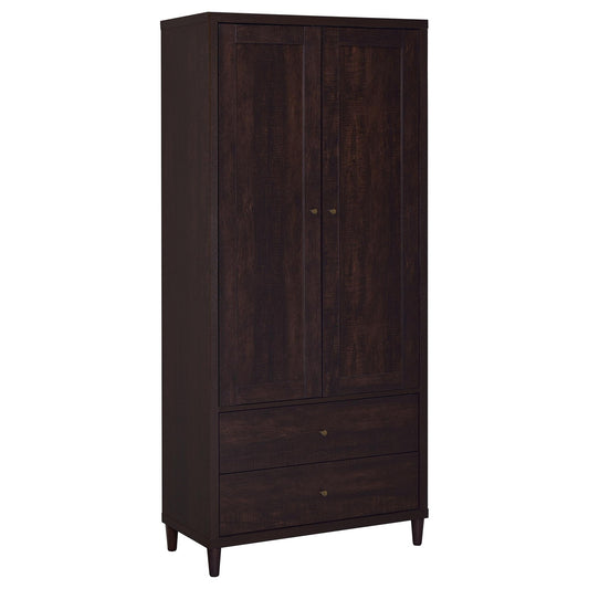 Nestor - 2 Drawer Tall Accent Cabinet With 2 Doors - Rustic