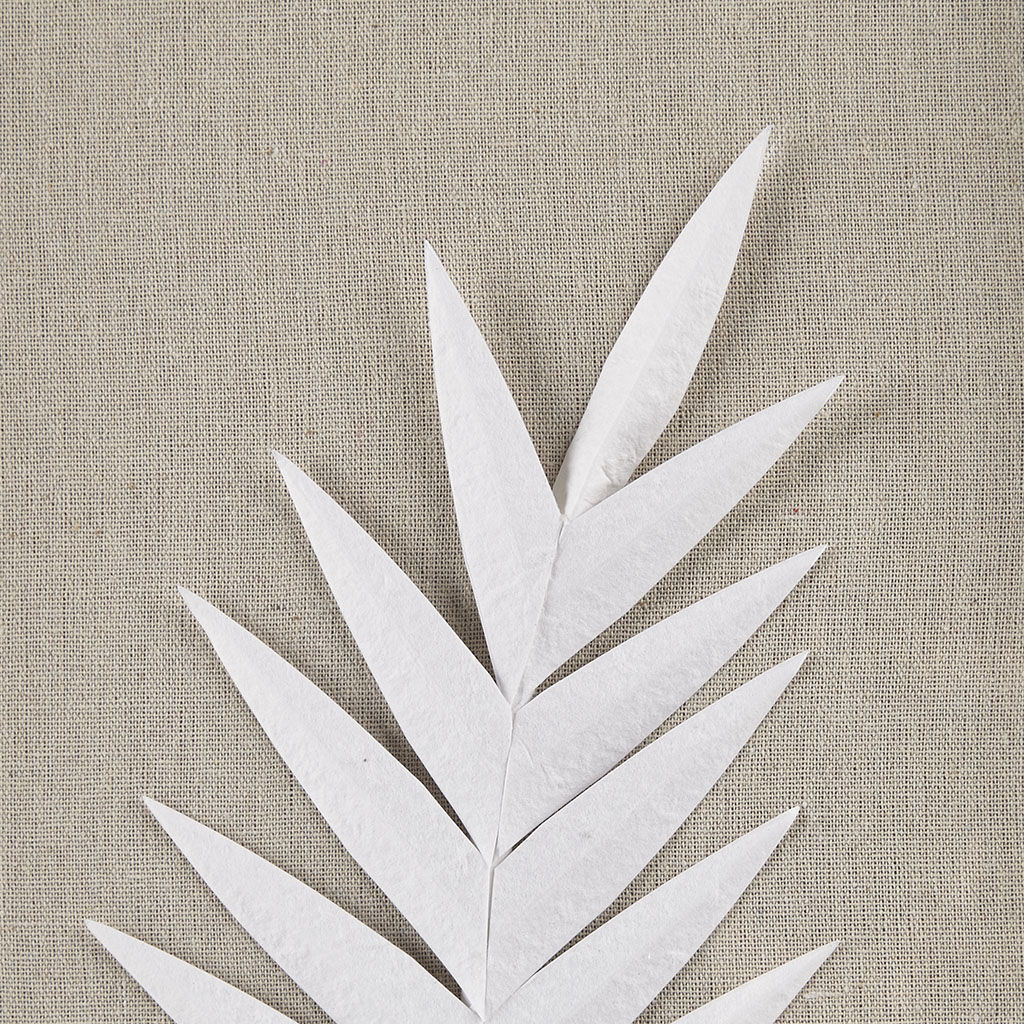 Sabal - Palm Rice Paper Framed Shadow Box (Set of 3) - Off White