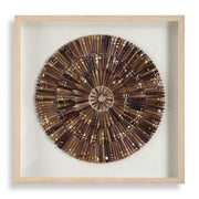 Tiger Sea Urchin - Shadow Box - Brown