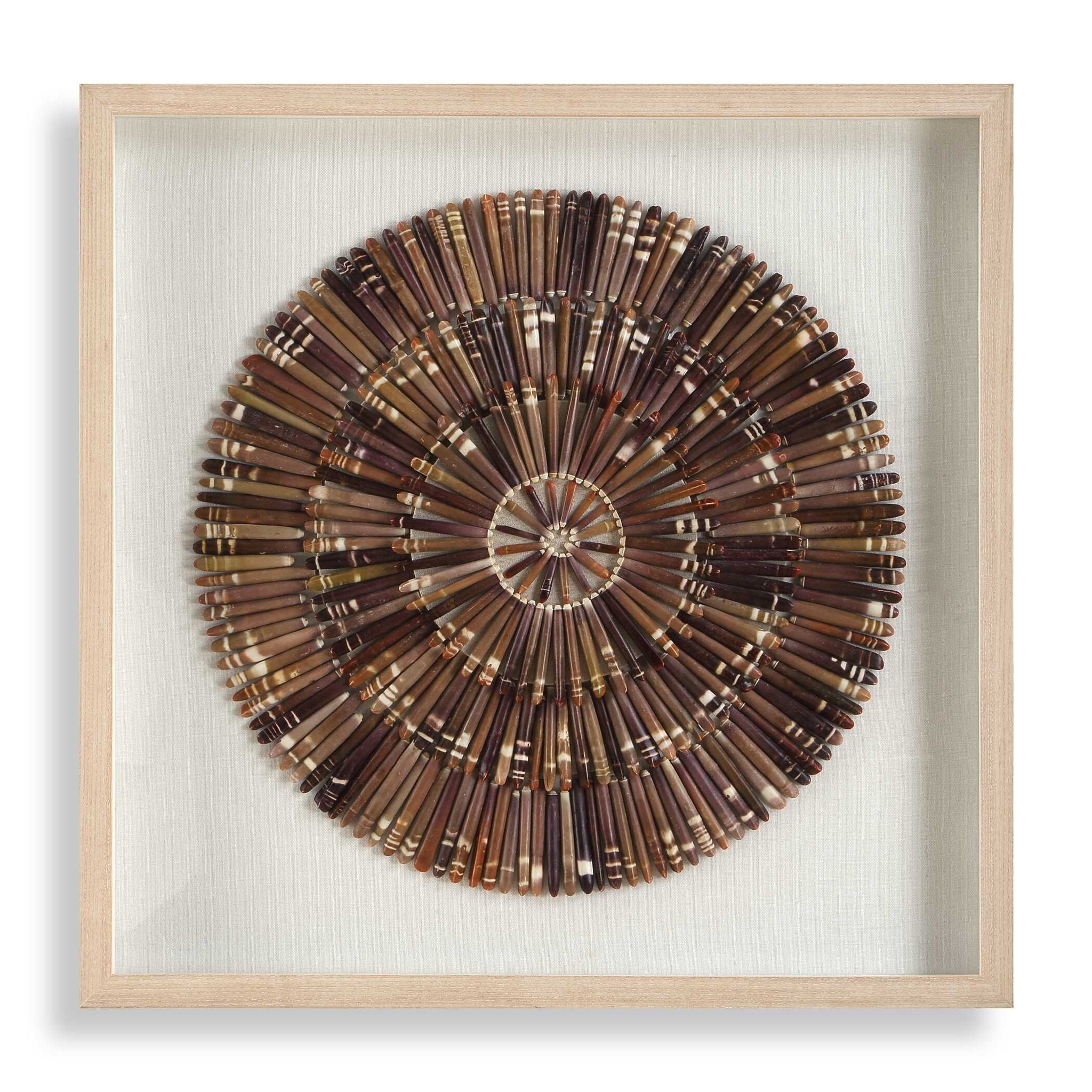 Tiger Sea Urchin - Shadow Box - Brown