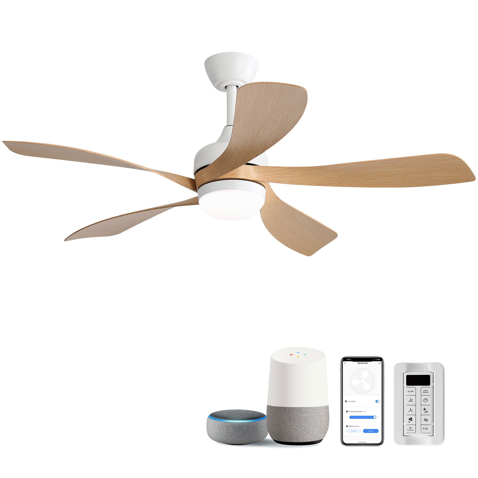 Ceiling Fan & DC Motor And Integrated Light