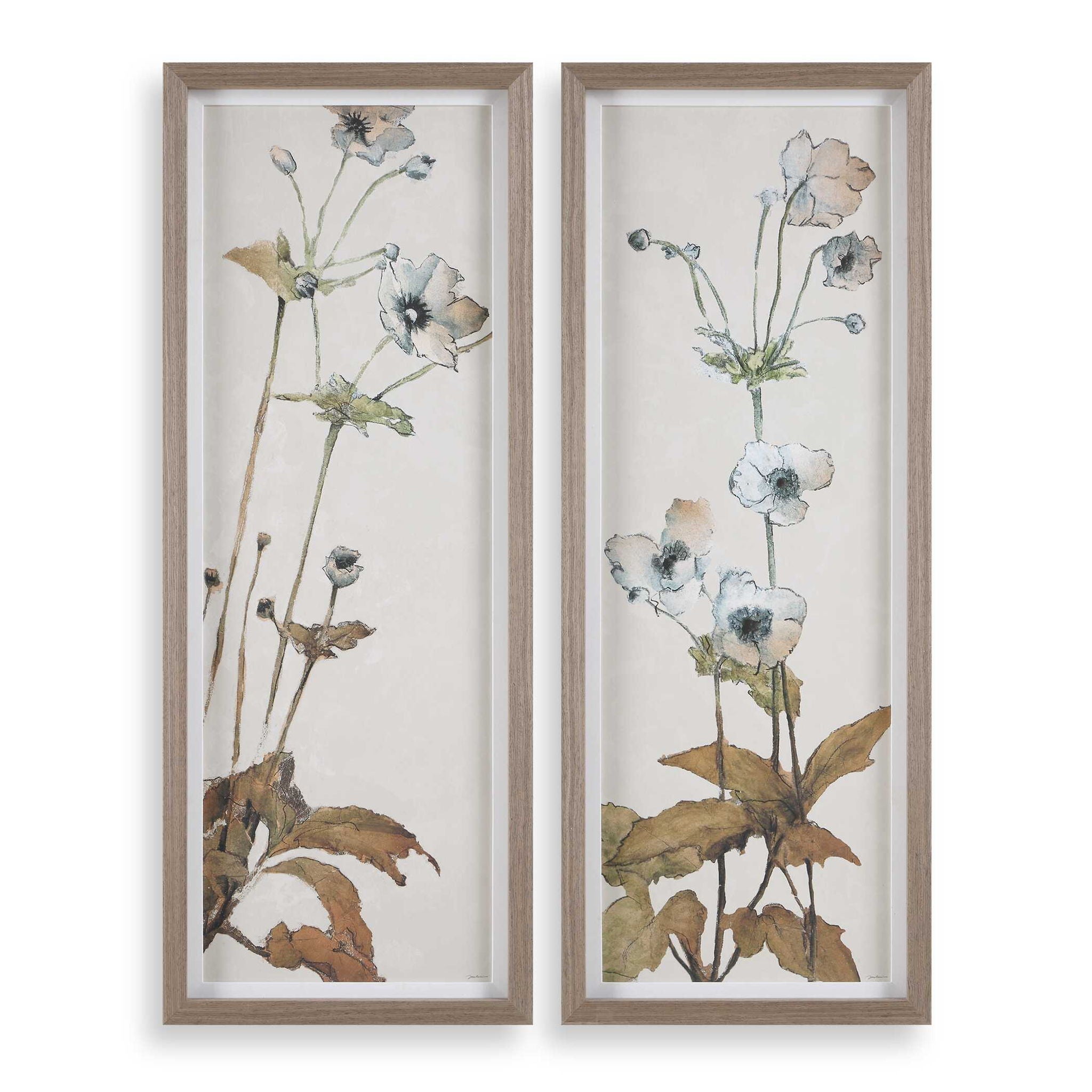 Garden - Study Framed Floral Prints (Set of 2) - Blue / Brown / Green / White