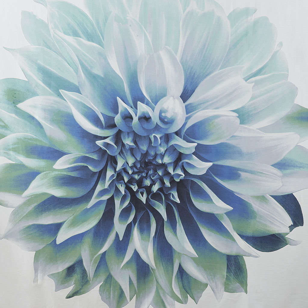 Norah - Printed Floral Shower Curtain - Aqua