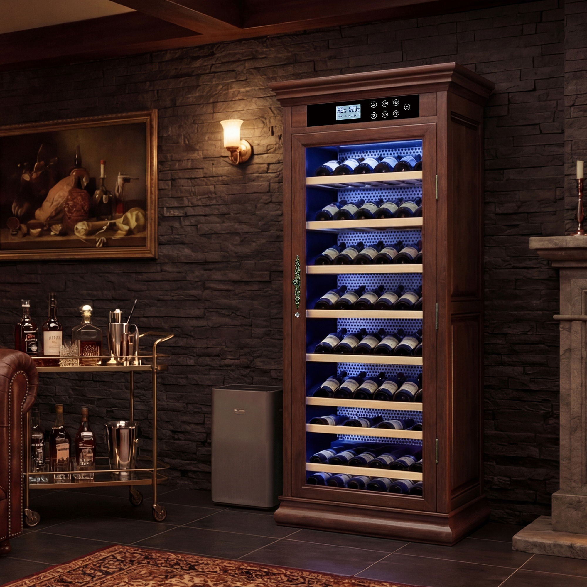 Temperature Control Professional Wine Cabinet