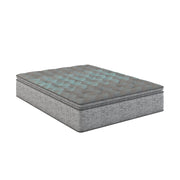 Comfort Care - 10" Hybrid Euro Top Mattress Plush Comfort