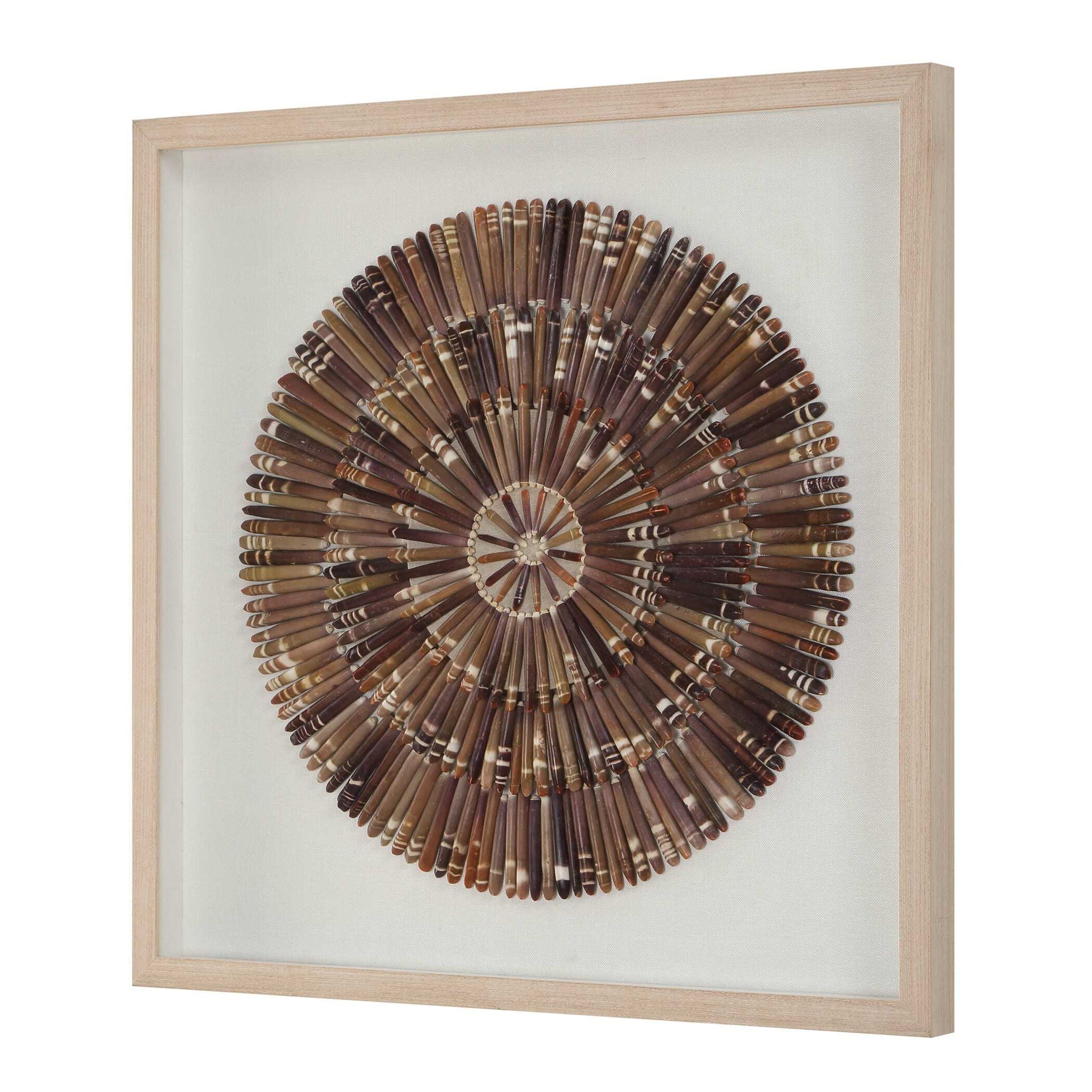 Tiger Sea Urchin - Shadow Box - Brown