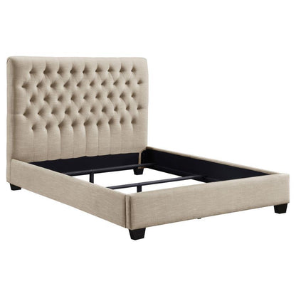 Chloe - Upholstered Panel Bed