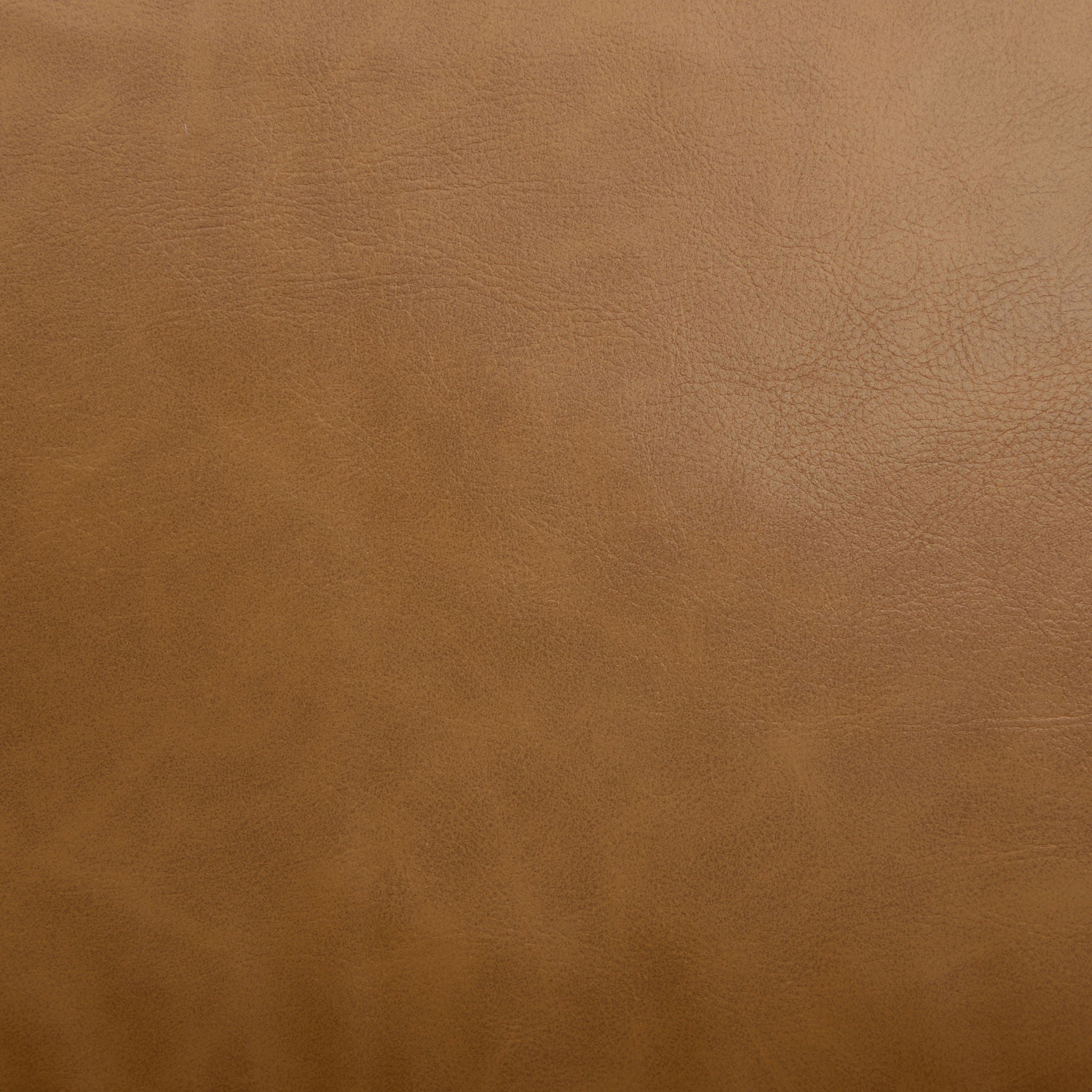 Stylish Club Armchair For Living Room