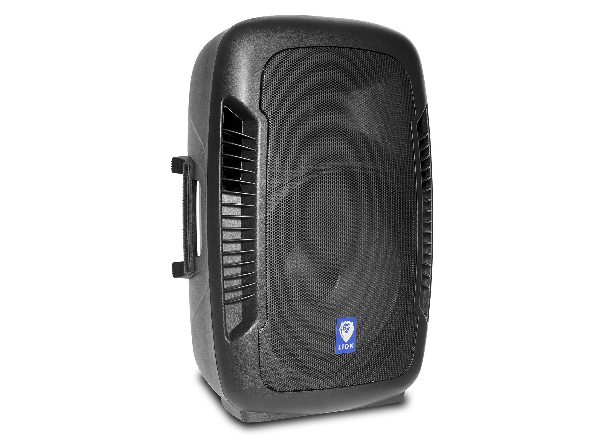 Professional 15" Speaker - Black
