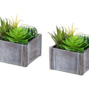 Artificial Succulent, Table Decor (Set of 2) - Green / Dark Gray